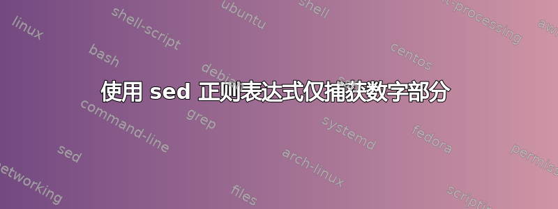 使用 sed 正则表达式仅捕获数字部分