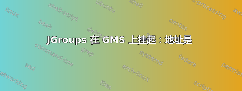 JGroups 在 GMS 上挂起：地址是