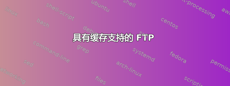 具有缓存支持的 FTP