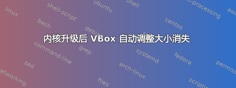 内核升级后 VBox 自动调整大小消失