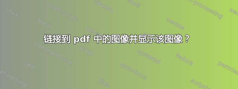 链接到 pdf 中的图像并显示该图像？