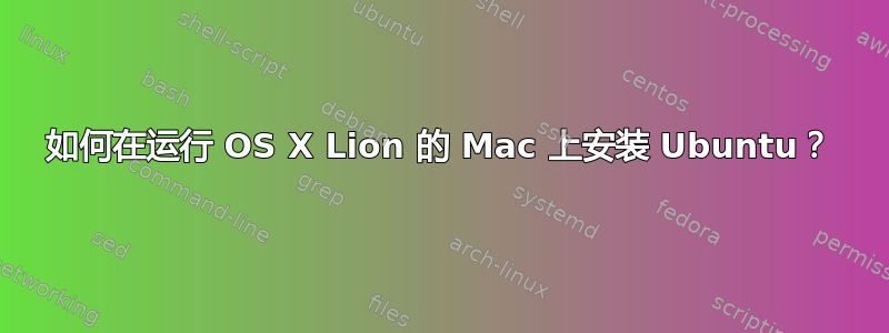 如何在运行 OS X Lion 的 Mac 上安装 Ubuntu？