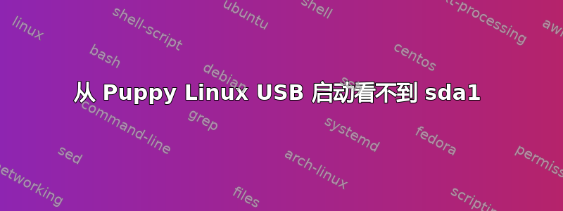 从 Puppy Linux USB 启动看不到 sda1