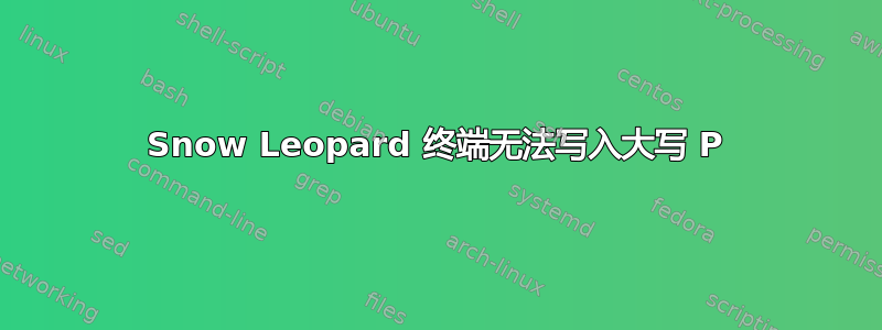 Snow Leopard 终端无法写入大写 P