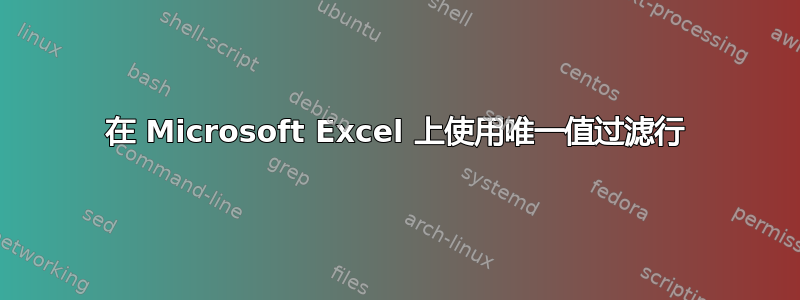 在 Microsoft Excel 上使用唯一值过滤行