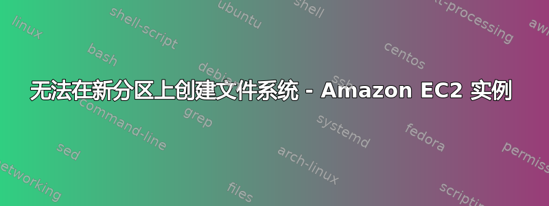 无法在新分区上创建文件系统 - Amazon EC2 实例