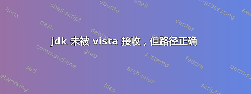 jdk 未被 vista 接收，但路径正确