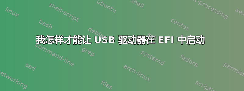 我怎样才能让 USB 驱动器在 EFI 中启动