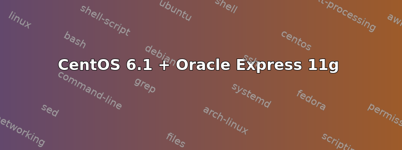 CentOS 6.1 + Oracle Express 11g