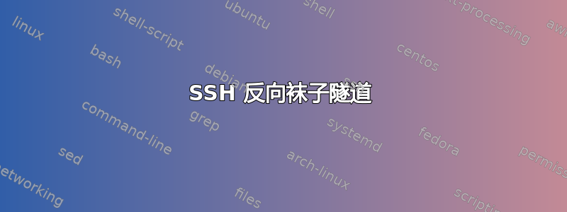 SSH 反向袜子隧道