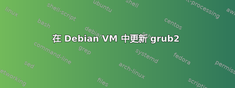 在 Debian VM 中更新 grub2