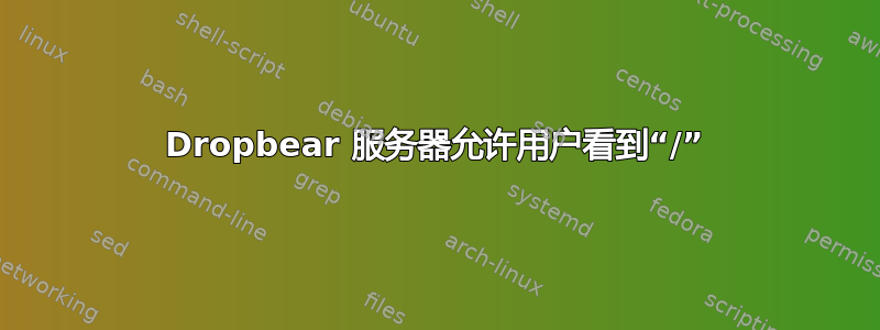 Dropbear 服务器允许用户看到“/”