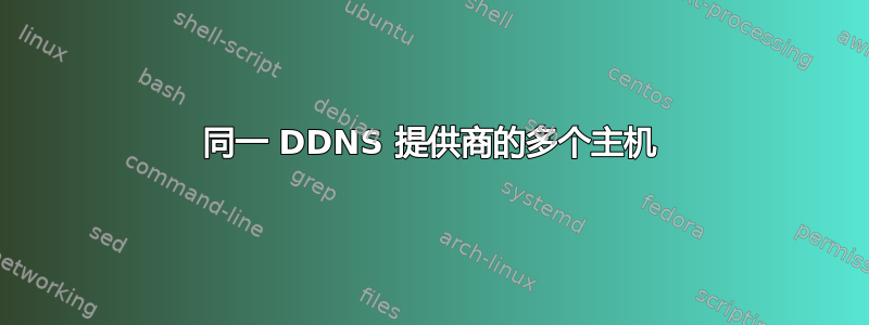 同一 DDNS 提供商的多个主机