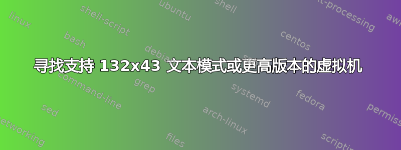 寻找支持 132x43 文本模式或更高版本的虚拟机