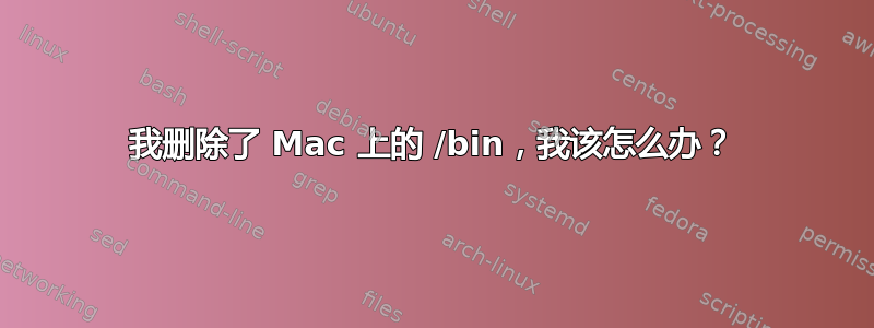 我删除了 Mac 上的 /bin，我该怎么办？