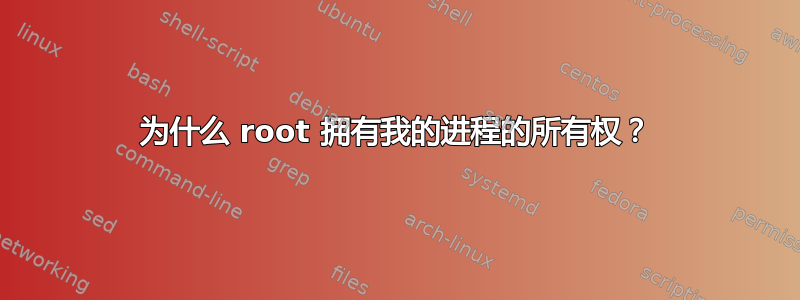 为什么 root 拥有我的进程的所有权？