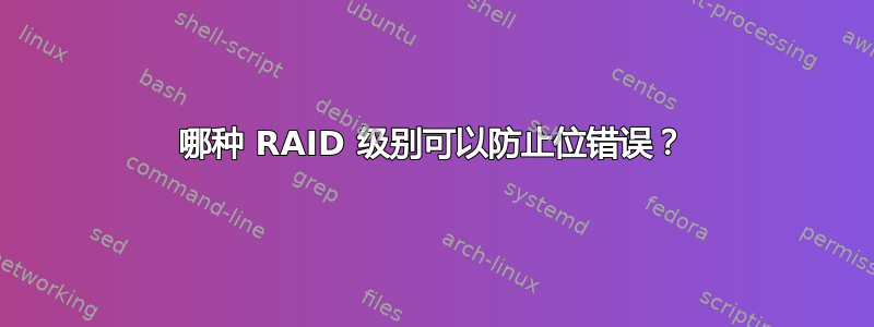 哪种 RAID 级别可以防止位错误？