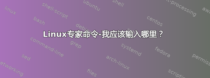 Linux专家命令-我应该输入哪里？