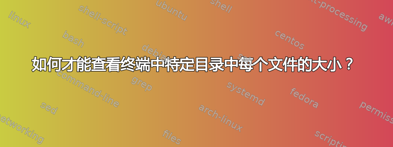 如何才能查看终端中特定目录中每个文件的大小？