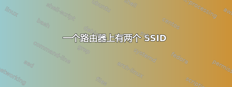 一个路由器上有两个 SSID