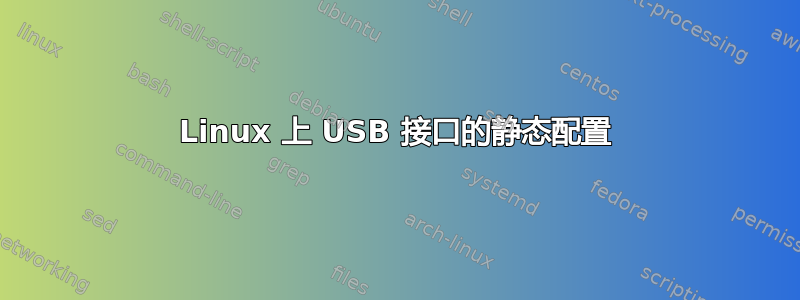 Linux 上 USB 接口的静态配置