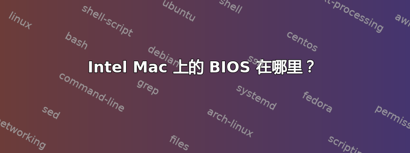 Intel Mac 上的 BIOS 在哪里？