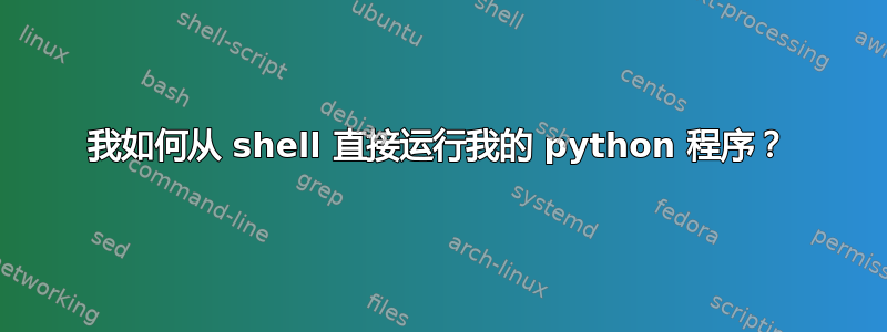 我如何从 shell 直接运行我的 python 程序？