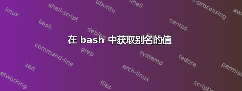 在 bash 中获取别名的值