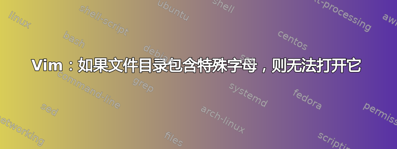 Vim：如果文件目录包含特殊字母，则无法打开它