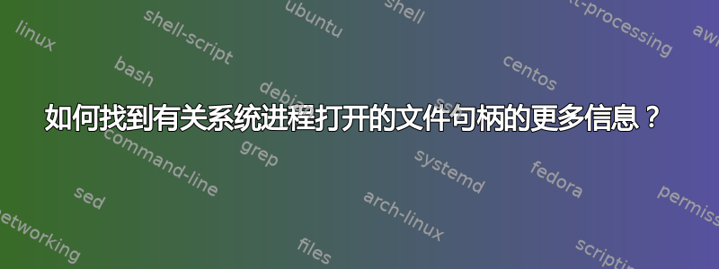 如何找到有关系统进程打开的文件句柄的更多信息？