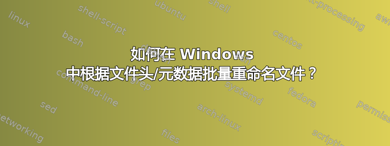 如何在 Windows 中根据文件头/元数据批量重命名文件？