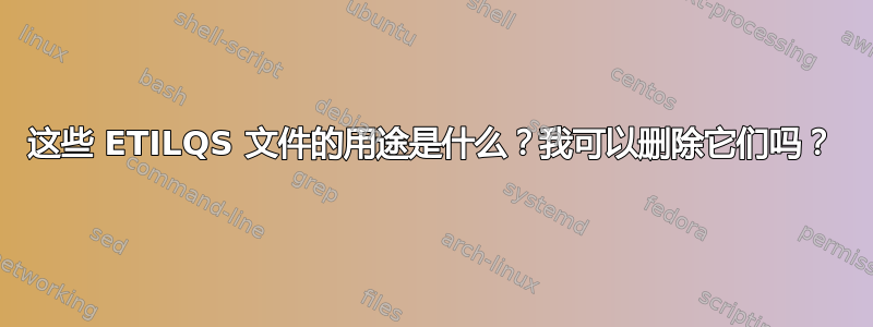 这些 ETILQS 文件的用途是什么？我可以删除它们吗？