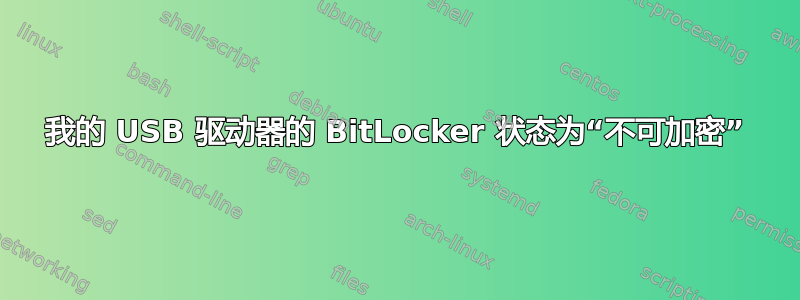 我的 USB 驱动器的 BitLocker 状态为“不可加密”