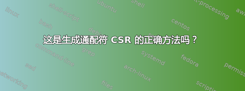 这是生成通配符 CSR 的正确方法吗？