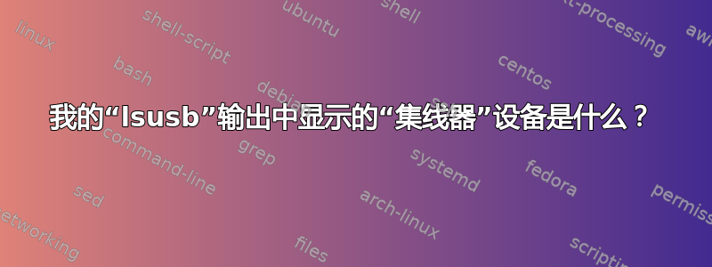 我的“lsusb”输出中显示的“集线器”设备是什么？