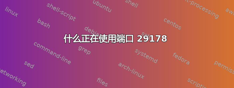 什么正在使用端口 29178