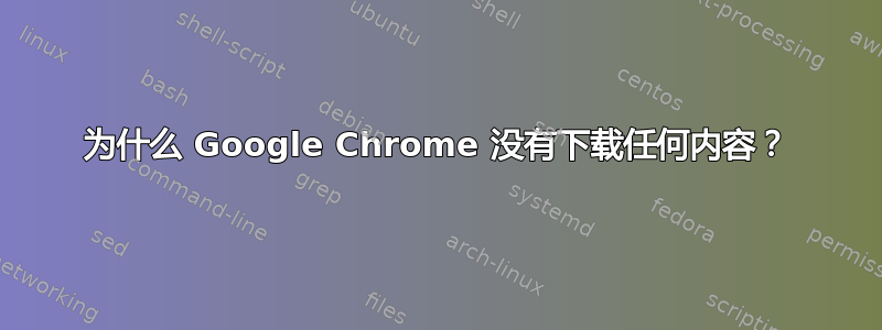 为什么 Google Chrome 没有下载任何内容？