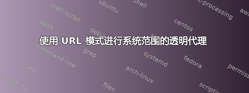 使用 URL 模式进行系统范围的透明代理