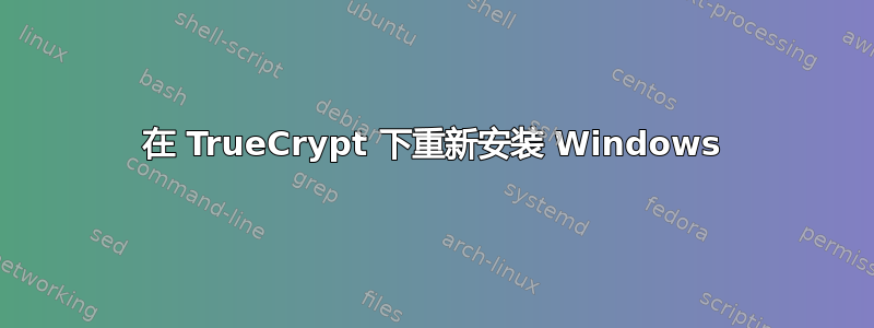 在 TrueCrypt 下重新安装 Windows