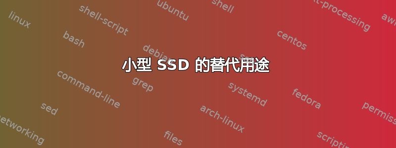 小型 SSD 的替代用途