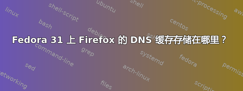 Fedora 31 上 Firefox 的 DNS 缓存存储在哪里？