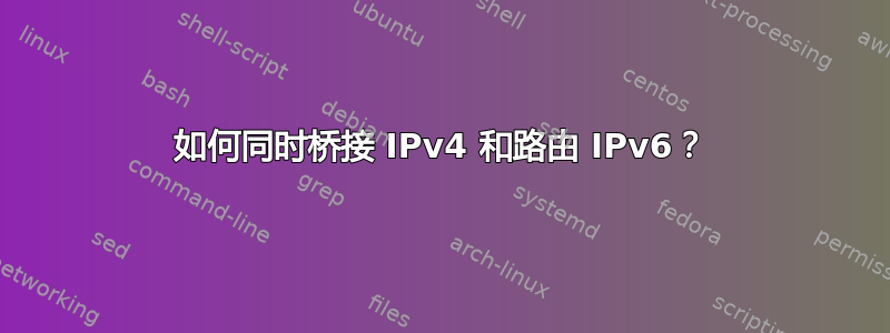 如何同时桥接 IPv4 和路由 IPv6？