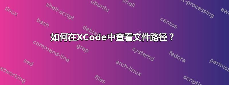 如何在XCode中查看文件路径？