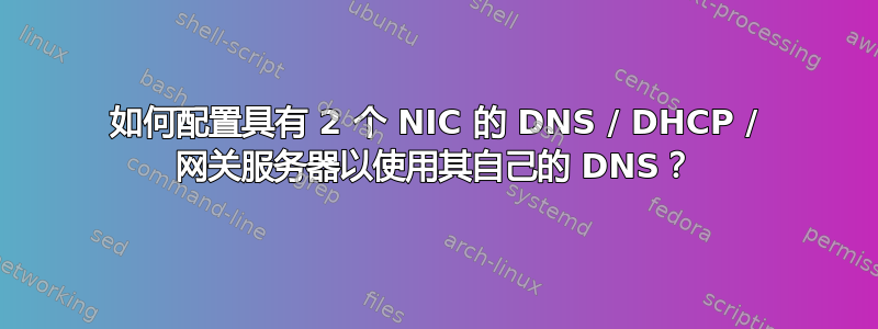 如何配置具有 2 个 NIC 的 DNS / DHCP / 网关服务器以使用其自己的 DNS？