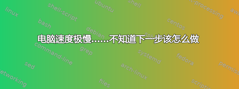 电脑速度极慢……不知道下一步该怎么做