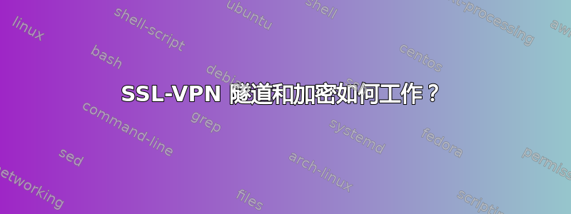 SSL-VPN 隧道和加密如何工作？