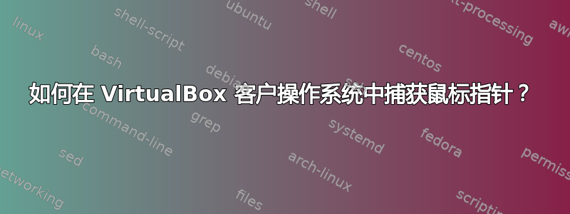 如何在 VirtualBox 客户操作系统中捕获鼠标指针？