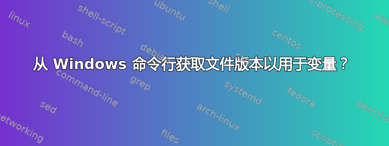 从 Windows 命令行获取文件版本以用于变量？