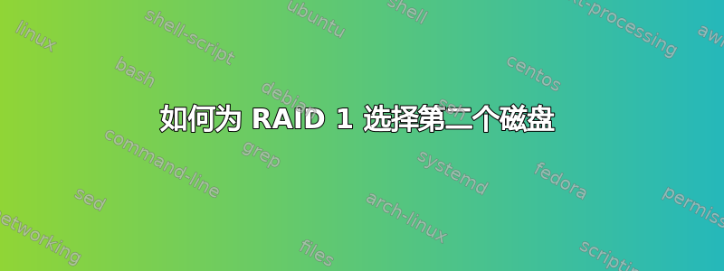 如何为 RAID 1 选择第二个磁盘