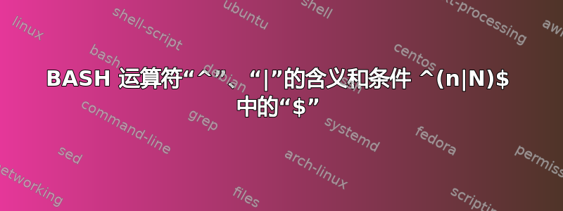 BASH 运算符“^”、“|”的含义和条件 ^(n|N)$ 中的“$”